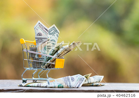 Dollar bill collect on shopping cart. Dollar bill collect on shopping cart. 40462516