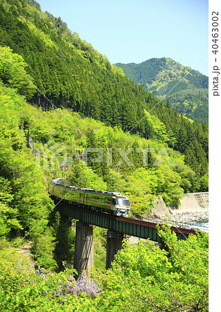 新緑の高山本線 40463002