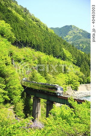 新緑の高山本線 40463003
