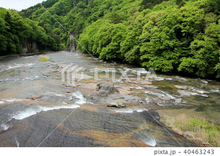 千畳敷と夫婦岩（吹割渓谷） 40463243