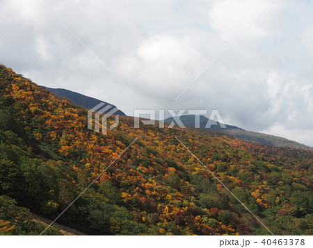漢拏山 漢拏山 40463378