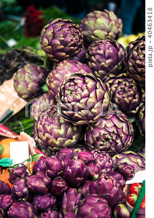 Purple artichokes closeup 40463418
