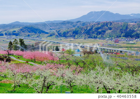 麗しき信州の風景　その201805　 40463558