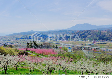 麗しき信州の風景　その201805　 40463559