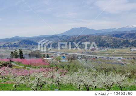麗しき信州の風景　その201805　 40463560