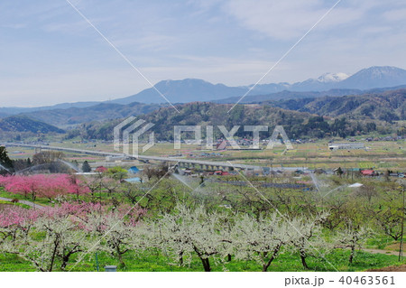 麗しき信州の風景　その201805　 40463561
