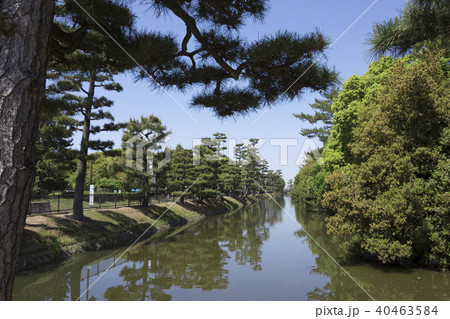 大仙陵古墳（仁徳天皇陵）の濠 40463584