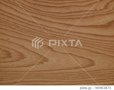 ケヤキ(ロータリー) ケヤキ(ロータリー) 40463873