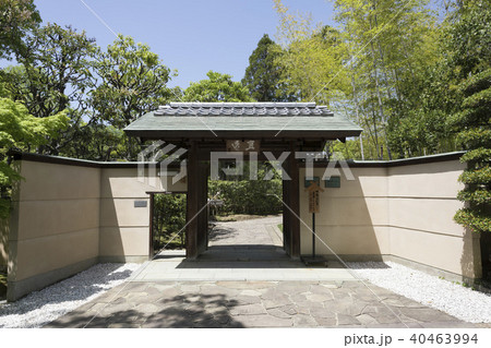 黄梅庵/伸庵の門 黄梅庵/伸庵の門 40463994