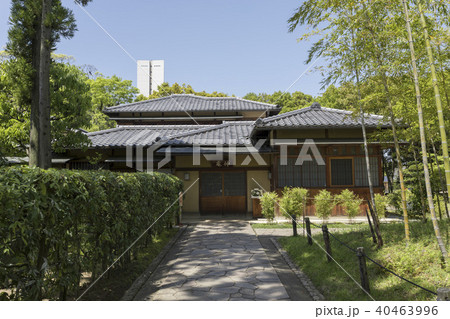 伸庵続く石畳 40463996