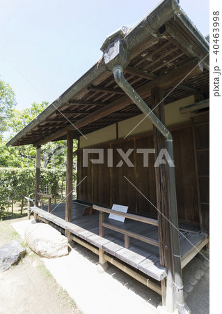 大仙公園　黄梅庵 40463998