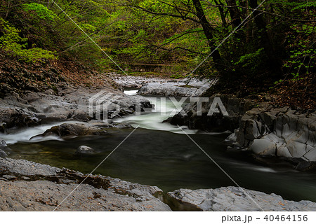 中津川渓谷 40464156