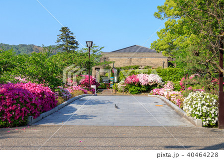 岩国吉香公園サツキと徴古館 40464228