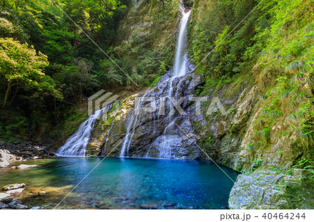 高知安居渓谷の飛龍の滝 高知安居渓谷の飛龍の滝 40464244