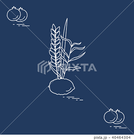 Pomegranate and Lulav - symbolic attribute of the Pomegranate and Lulav - symbolic attribute of the 40464304
