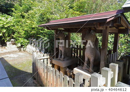 松江 小泉八雲が通った城山稲荷神社の石狐 松江 小泉八雲が通った城山稲荷神社の石狐 40464612