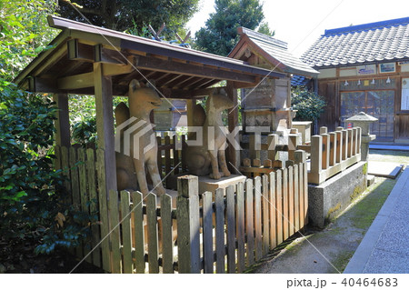 松江 小泉八雲が通った城山稲荷神社の石狐 松江 小泉八雲が通った城山稲荷神社の石狐 40464683