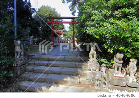 松江 小泉八雲が通った城山稲荷神社 40464686