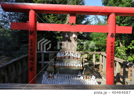 松江 小泉八雲が通った城山稲荷神社 松江 小泉八雲が通った城山稲荷神社 40464687