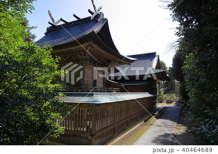 松江 小泉八雲が通った城山稲荷神社本殿(裏手から) 40464689