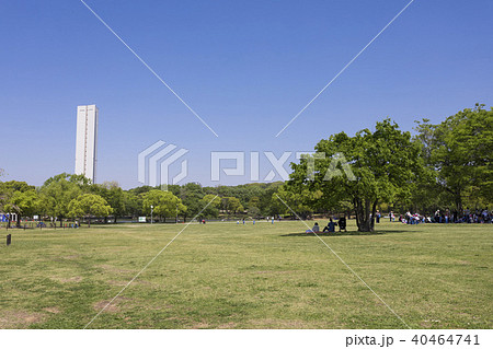 大仙公園大芝生広場と平和塔 40464741
