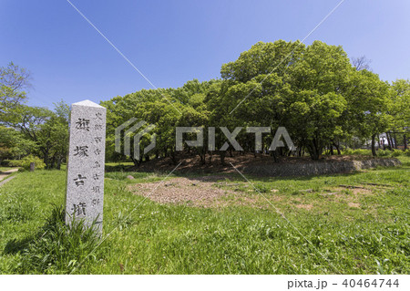 大仙公園の旗塚古墳 40464744