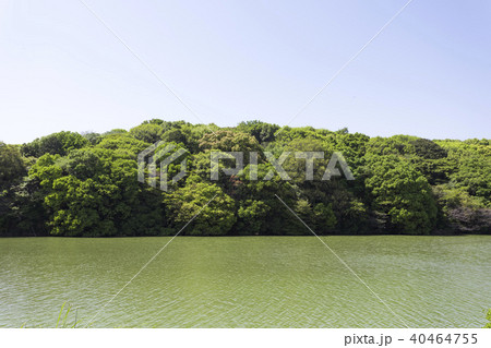 履中天皇陵 40464755