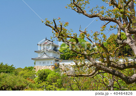 日本100名城・明石城 日本100名城・明石城 40464826