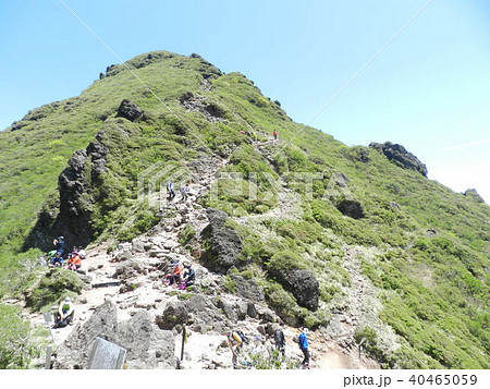 新緑の由布岳 新緑の由布岳 40465059