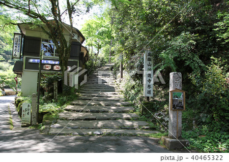 神護寺 参道 神護寺 参道 40465322