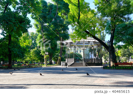 morning in summer city park, bright sunlit 40465615
