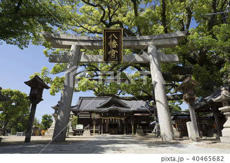 百舌八幡宮の鳥居と拝殿 40465682