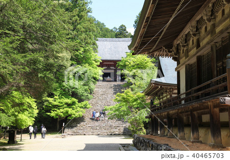 神護寺 金堂 神護寺 金堂 40465703