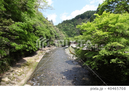 神護寺 清滝川 上流方向 神護寺 清滝川 上流方向 40465708