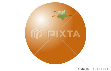 オレンジ　イラスト 40465991