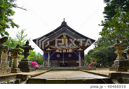 白兎神社 白兎神社 40466059