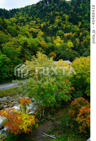 北海道 層雲峡温泉 北海道 層雲峡温泉 40466438