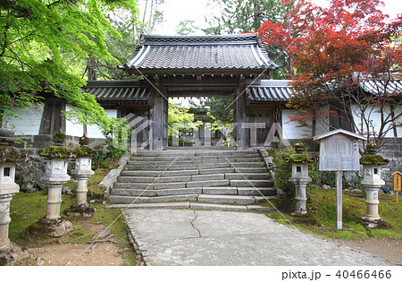 京都　西明寺 40466466