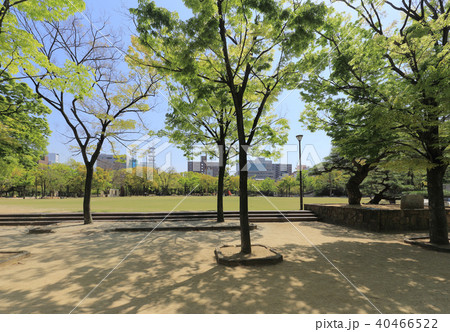高松市の中央公園芝生広場を市役所側から見るの写真素材