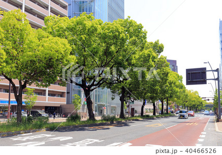 高松市の中央通り（中野町から栗林公園方向を見る） 40466526