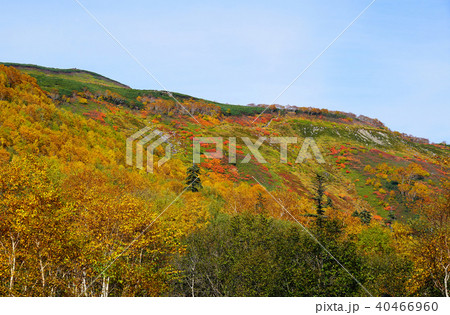 北海道 銀泉台 紅葉 北海道 銀泉台 紅葉 40466960