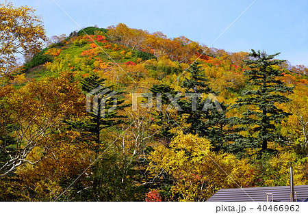 北海道 銀泉台 紅葉 北海道 銀泉台 紅葉 40466962
