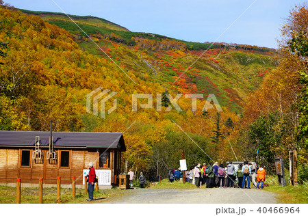 北海道 銀泉台 紅葉 北海道 銀泉台 紅葉 40466964