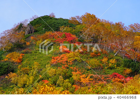 北海道　銀泉台　紅葉 40466968