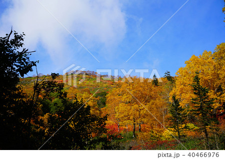北海道 銀泉台 紅葉 北海道 銀泉台 紅葉 40466976