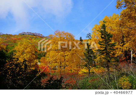 北海道 銀泉台 紅葉 北海道 銀泉台 紅葉 40466977
