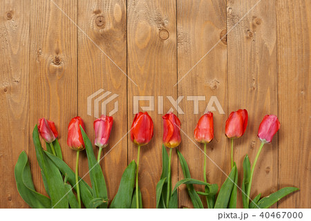 tulips are on wooden boards, greeting concept tulips are on wooden boards, greeting concept 40467000
