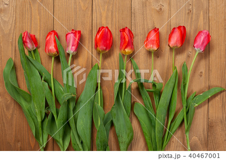 tulips are on wooden boards, greeting concept 40467001