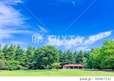 東京　練馬区　光が丘公園の風景 40467152