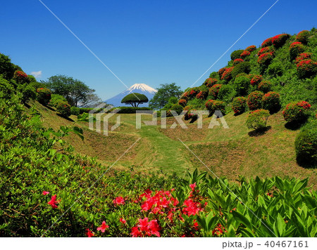 つつじ咲く山中城の風景 40467161